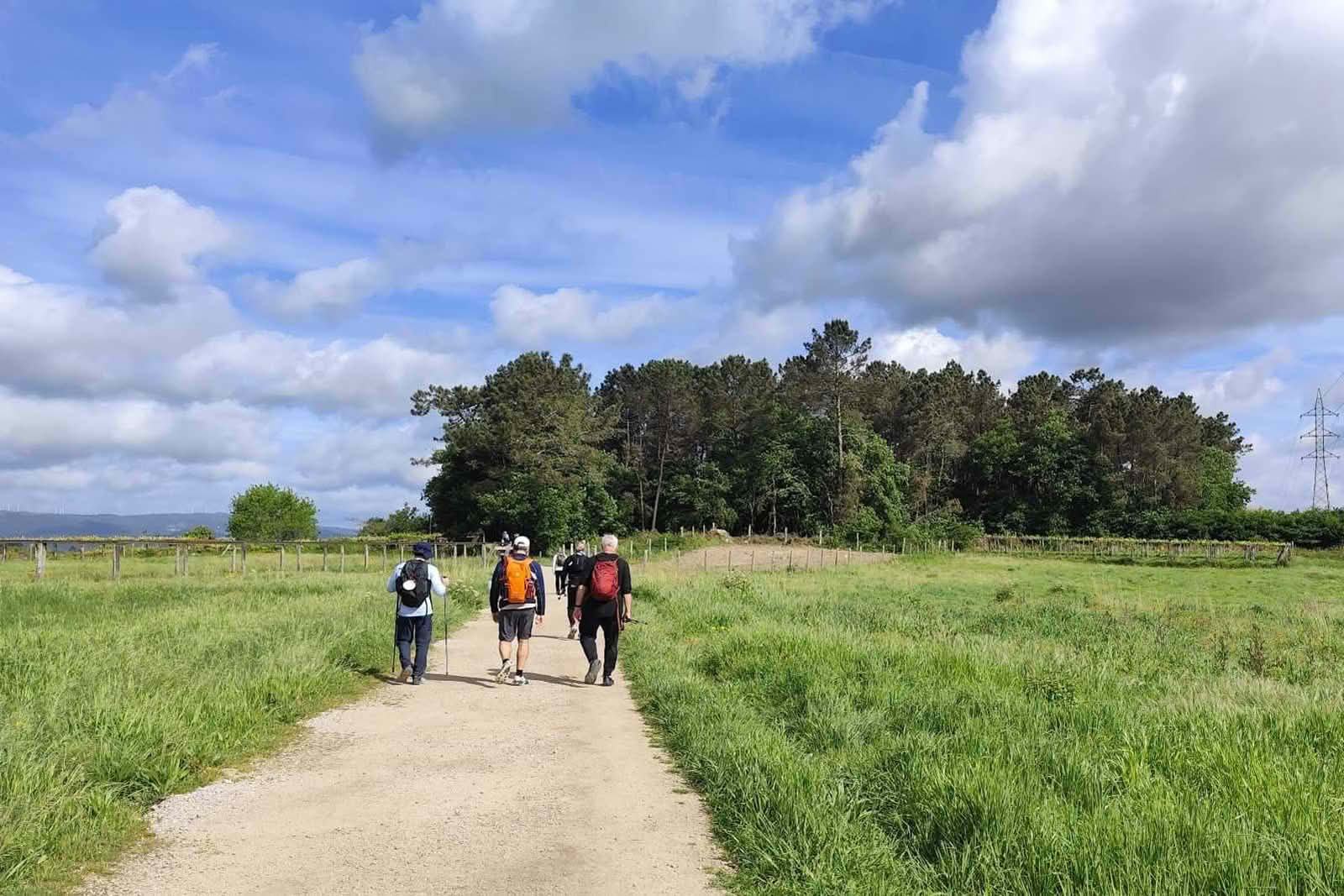 Itinerary photo: French Way on foot in group from Sarria to Santiago de Compostela: 5 stages